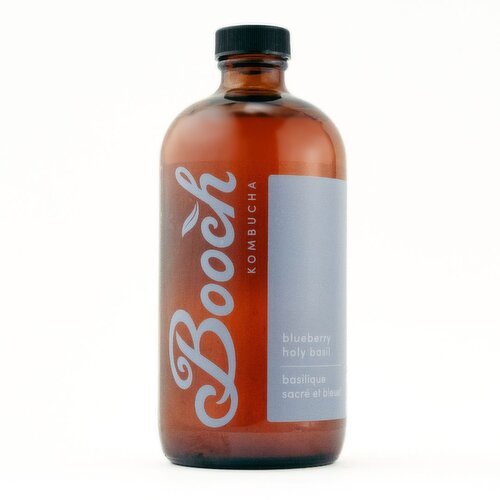 Booch - Booch Blueberry Holy Basil Kombucha