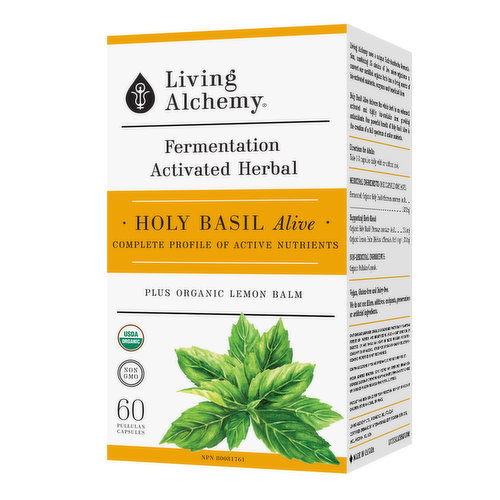 Living Alchemy - Living Alchemy Holy Basil Alive