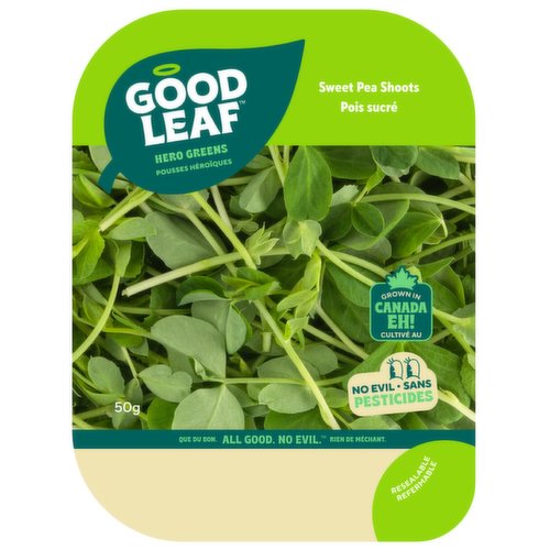 GoodLeaf Farms - Sweet Pea Shoots