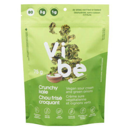 Vibe - Vegan Sour Cream And Green Onion Kale Snacks