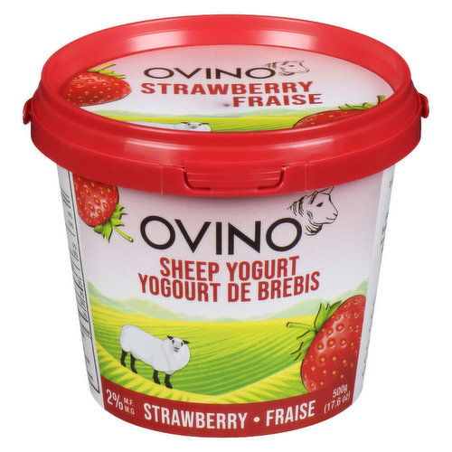 Ovino - Strawberry Yogurt