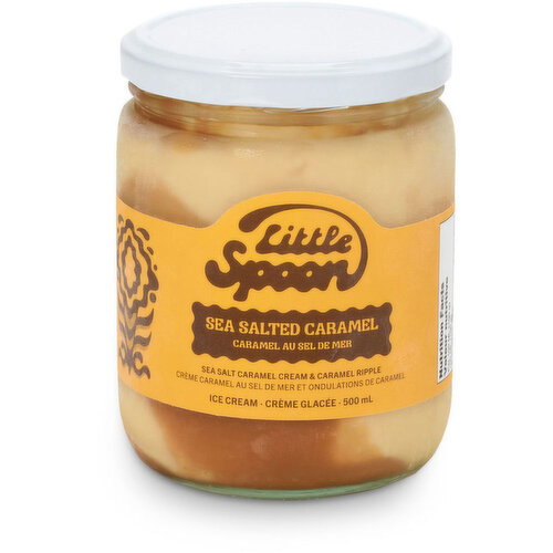 Little Spoon - Sea Salted Caramel Swirl Ice Cream