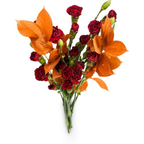 Save-On-Foods - Mini Carnations & Ruscus Fall Mix, 5 Stem