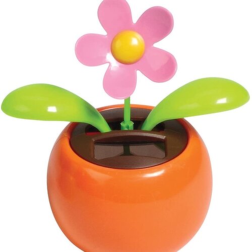 SG - Solar toy (L)