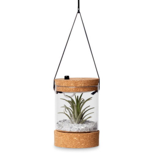 Horty Girl - Hanging Airplant with Light, 5in