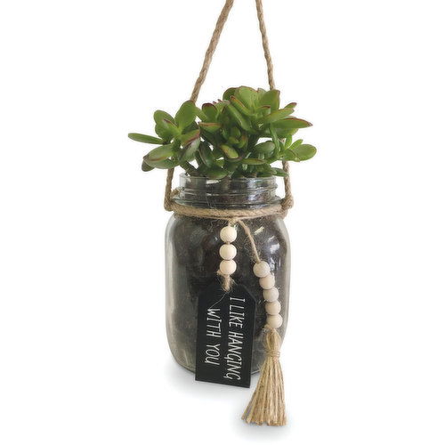 Horty Girl - Succulent in Hanging Mason Jar w Message Tag 5In