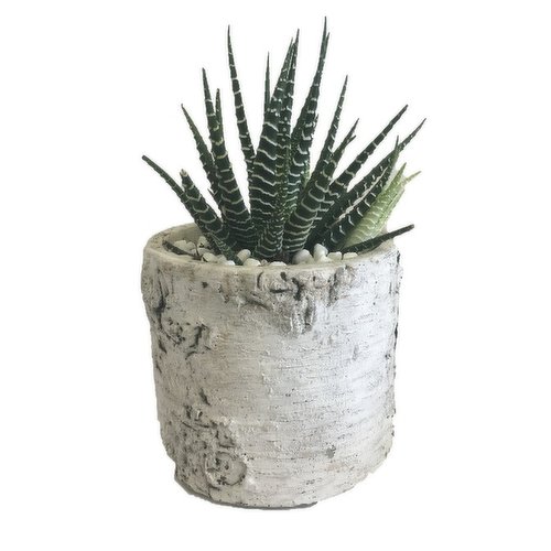 Horty Girl - Bark Design Planter