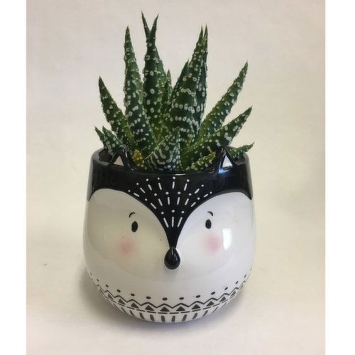 Horty Girl - Ceramic Animal Pot with Succulent