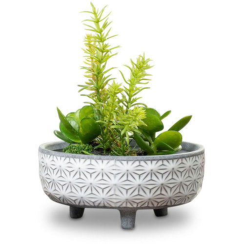 Horty Girl - White Star Ceramic Bowl w Tropical Garden, 6.5 In