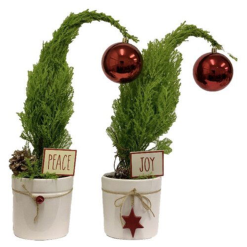 Horty Girl - Ceramic Twisted Christmas Tree Planters