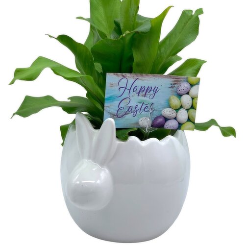 Horty Girl - Cermaic Bunny With Tropical Plant 5in