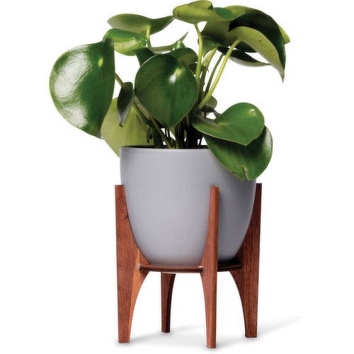 Horty Girl - Ceramic Potted Plant with Wooden Stand