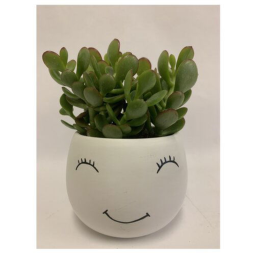 Horty Girl - Ceramic Smiling Pot With Plant