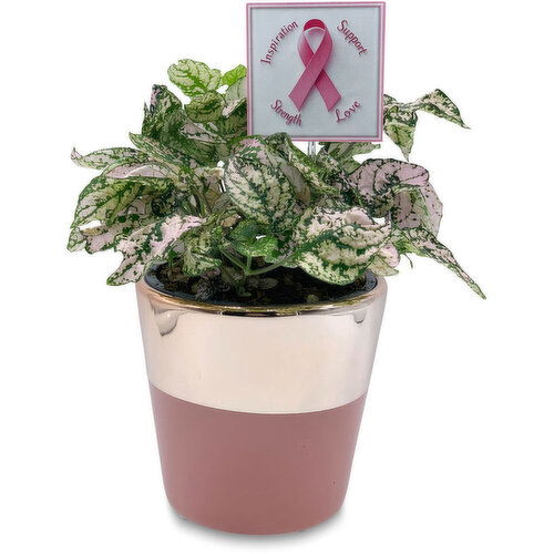 2 - Tone Pink Ceramic Plant 4.5 Inch