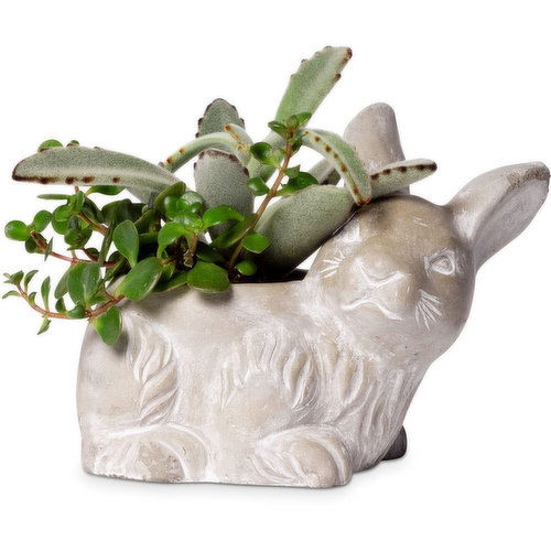 Horty Girl - Cement Bunny Planter