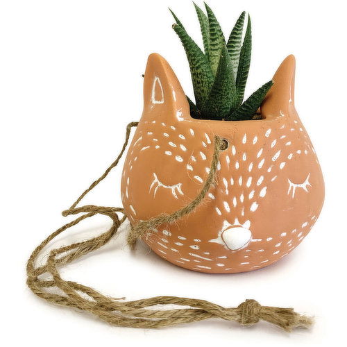 Horty Girl - Terracotta Fox Hanger with Succulent