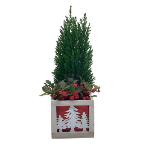 Wood Planter - Wood Planter Seasonal Garden