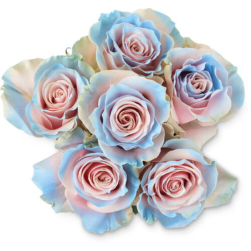 Roses - Pearl Sweet Tinted, 6 Stem