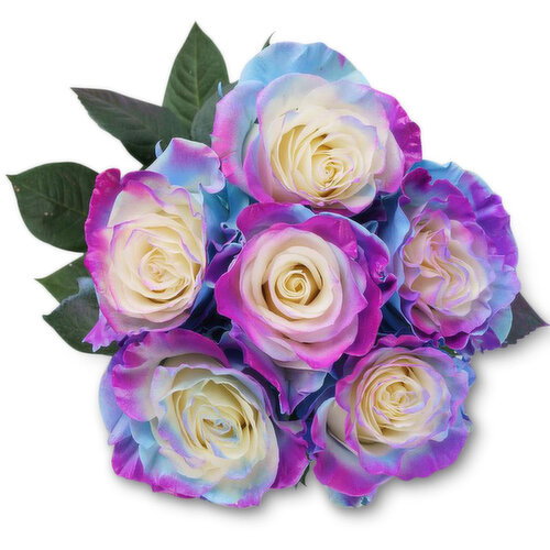 Roses - Aqua Breeze Tinted, 6 Stem
