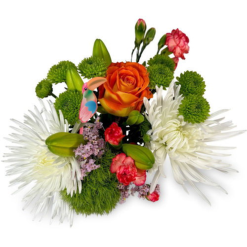 Toucan - Bouquet