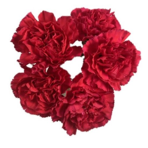 BUnch - Carnation Bunch