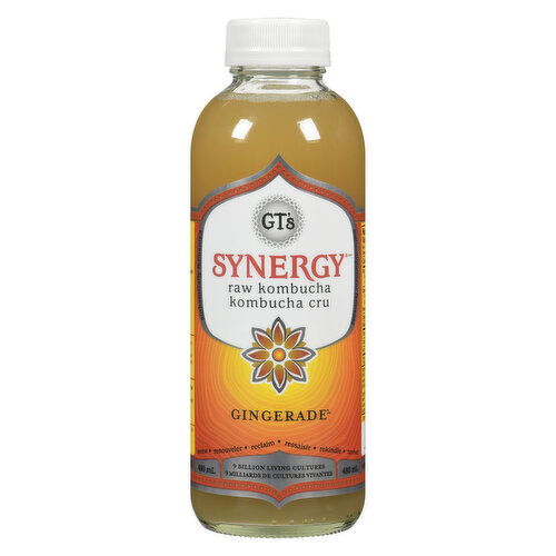 GT's - Raw Kombucha Classic Gingerade