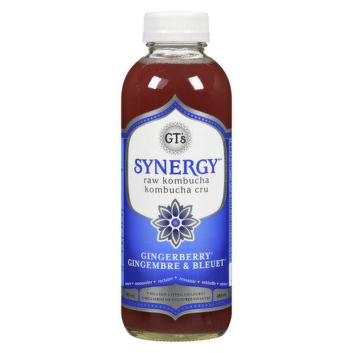 GT's - Synergy Raw Kombucha Gingerberry