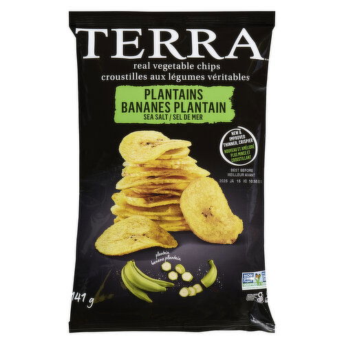 Terra - Chips Plantains Sea Salt