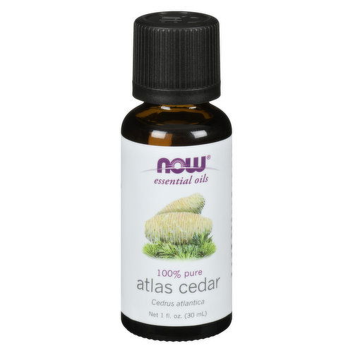 Now - Atlas Cedar Oil