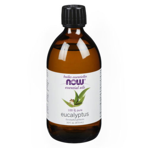 Now - Eucalyptus Essential Oil