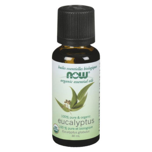 Now - Essential Oil Eucalyptus