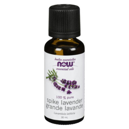 Now - Spike Lavender Oil