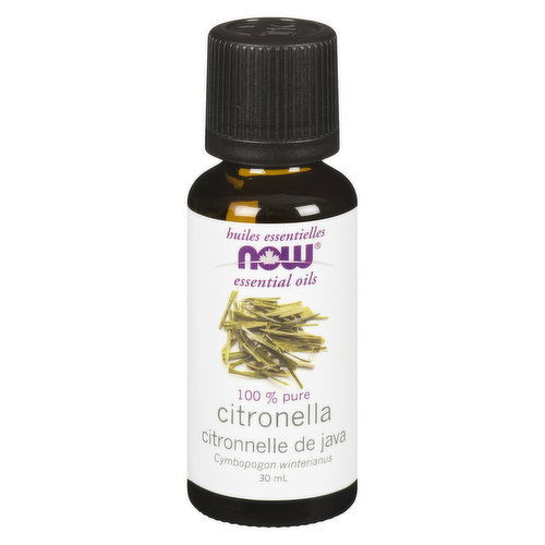 Now - Essential Oil Citronella