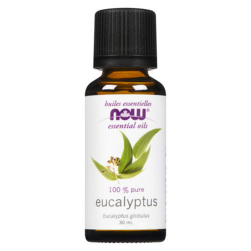 Now - Essential Oil Eucalyptus