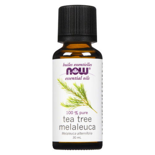 Now - Essential Oil Tea Tree