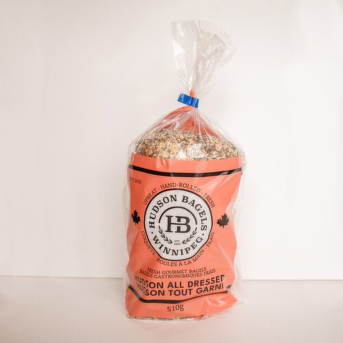 Hudson Bagels - All Dressed