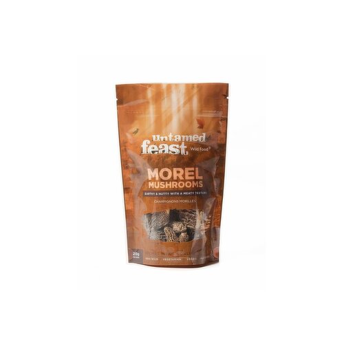 untamed feast - Morel Mushrooms