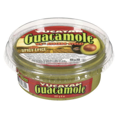 YUCATAN - GUACAMOLE SPICY