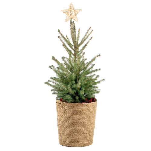 Tree - Natural Christmas
