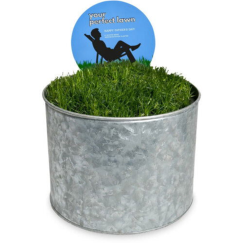 Van Belle Nursery - Scotch Moss Planter 6in, Father's Day
