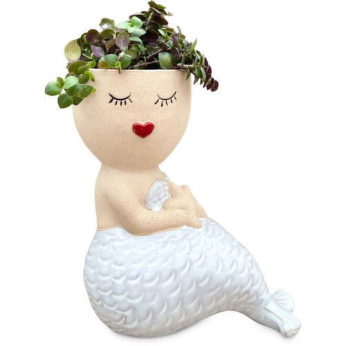 Mermaid - Tropical Planter 2In