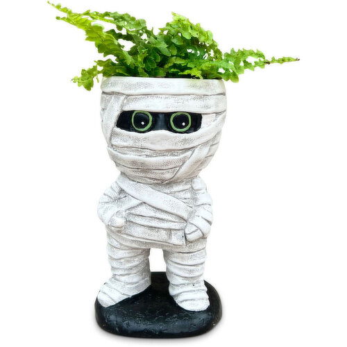 Potted Plants - Mummy w/Tropical 2In