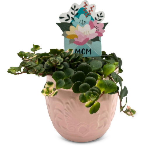 Tinted Jade - In Scalloped, 4 Inch
