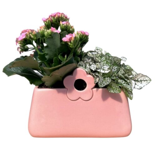 Tropicals - Flower Clutch, 8 Inch