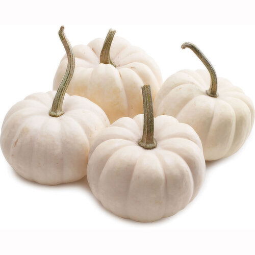 Pumpkins - Mini Casper