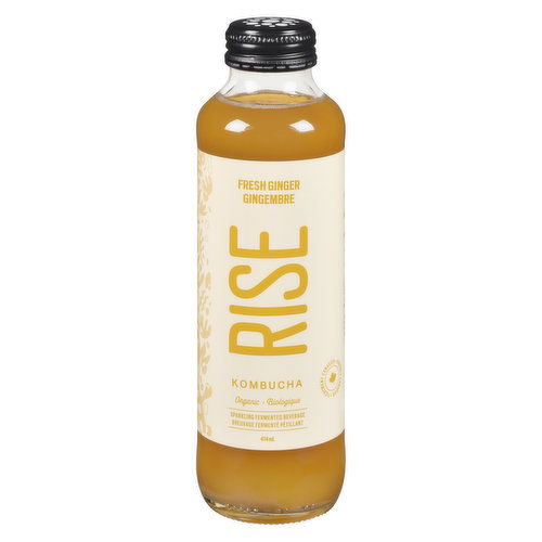 Rise - Organic Kombucha Ginger