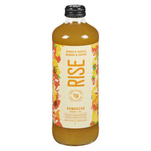 Rise - Kombucha Mango & Papaya