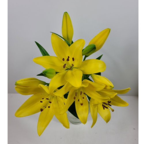 Hybrid Lily - 3 Stem