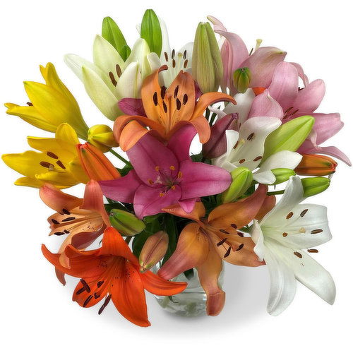 Premium - Hybrid Lily 8 Stem Bunch