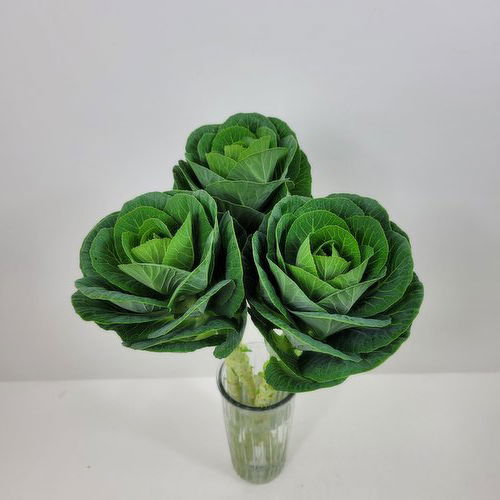 Ornament - Kale 3 Stem